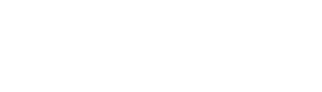 Flush Factor Plus Logo